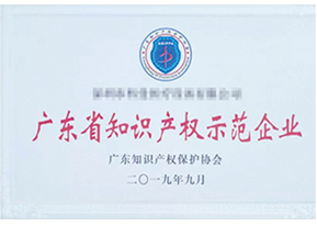 廣東(dōng)省知(zhī)識産權示範企業(yè)
